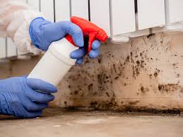 Professional Mold Removal Services in Wolfforth, TX